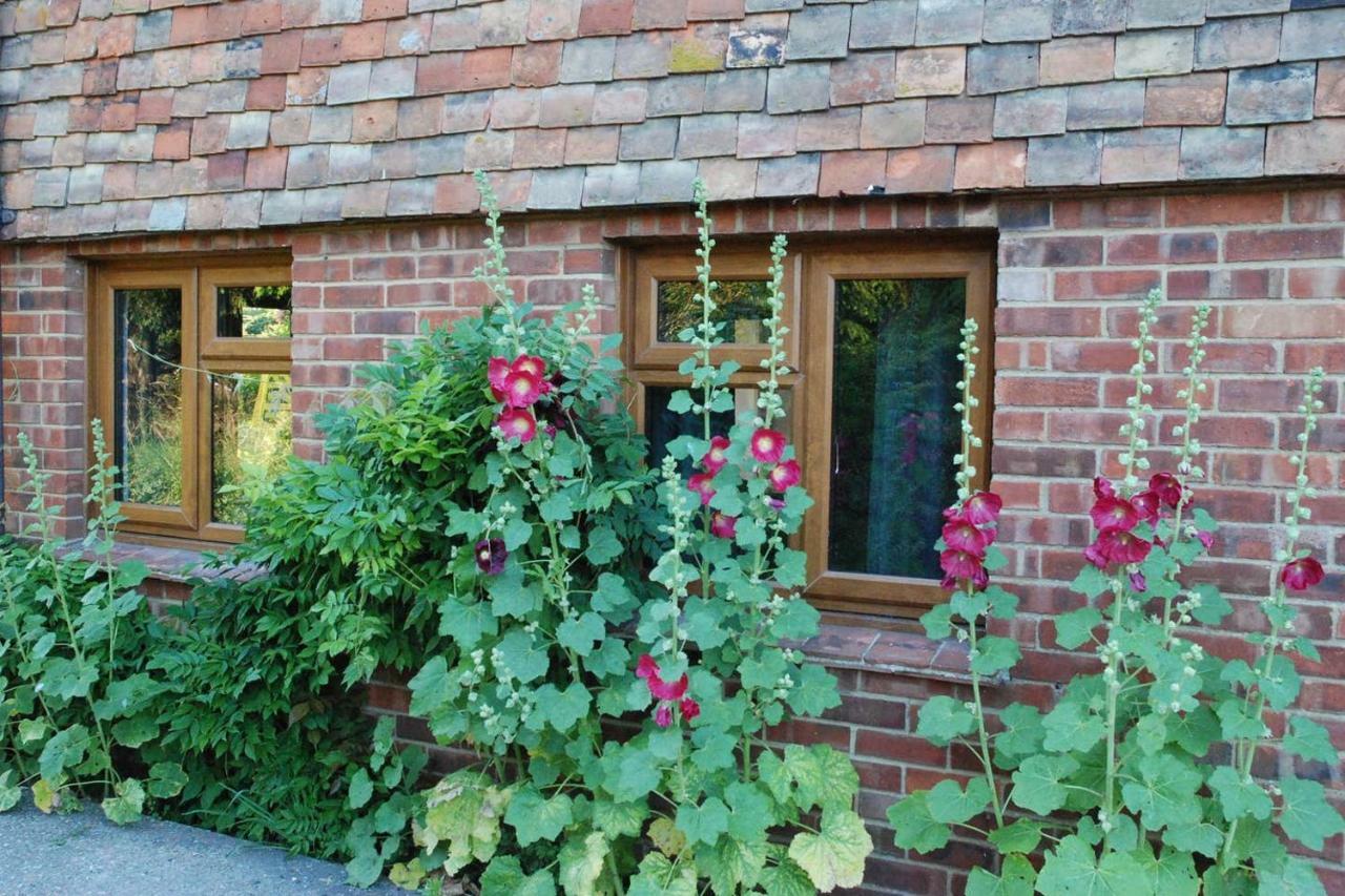 Hollyhock Cottage Ashford  Exterior photo